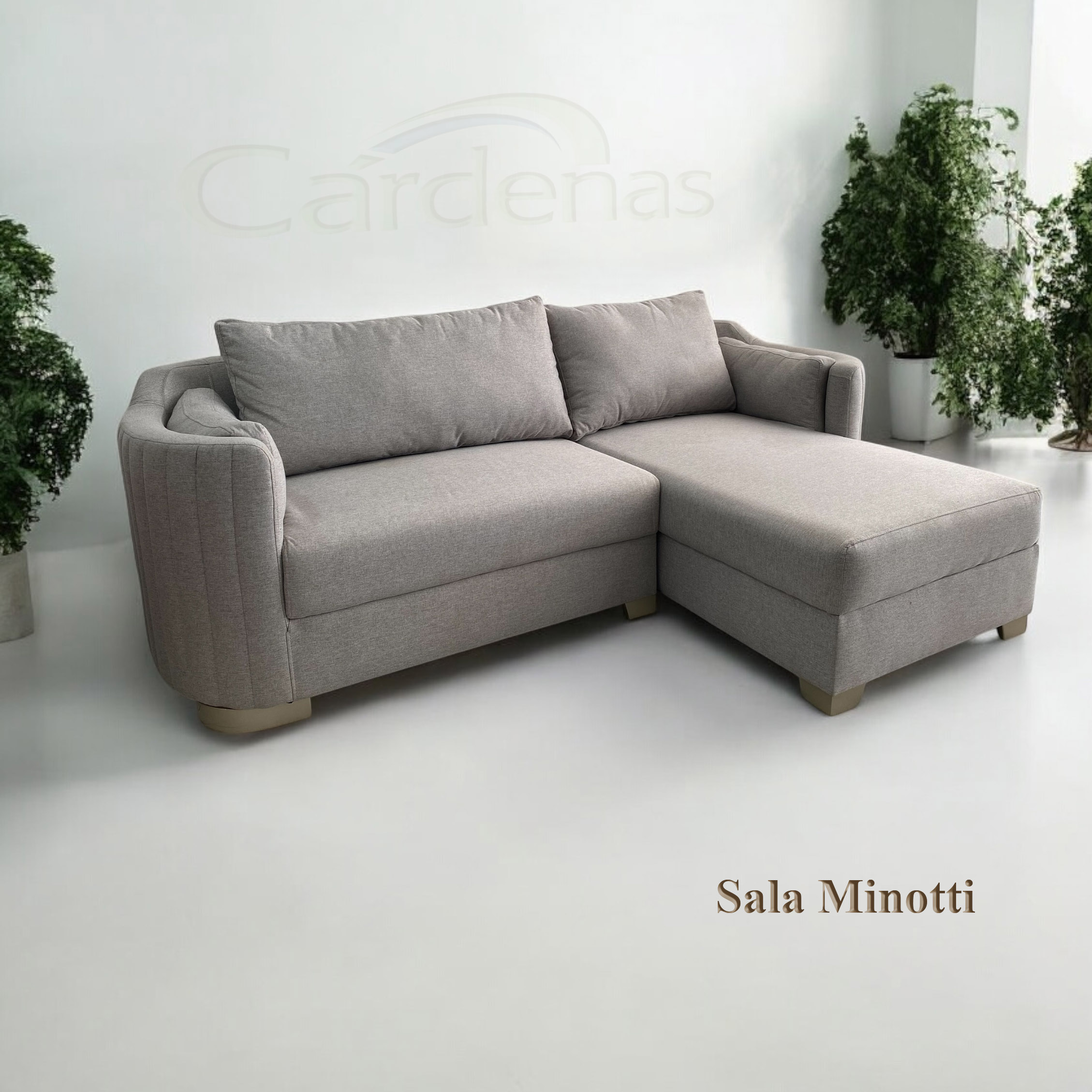 Sala Minotti de 2 módulos